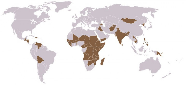 Zemljevid sveta, na katerem so posebej označene dežele, v katerih ljudje trpijo zaradi lakote; foto: splet