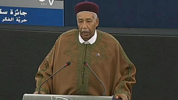 Libijski oporečnik in nekdanji politični zapornik Ahmed al Senusi; EP