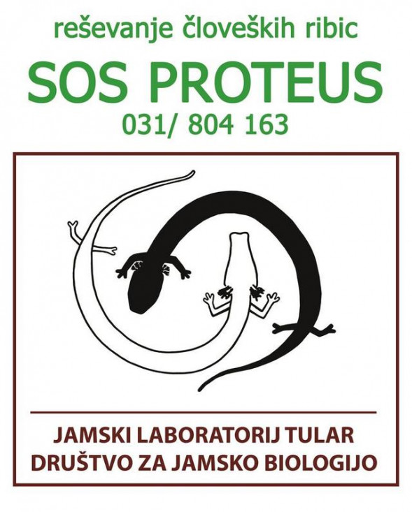 SOS proteus