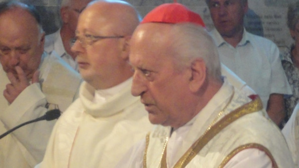 Kardinal Rode pri sveti maši na Višarjah 2013