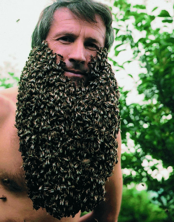 Franc Šivic s čebeljo brado