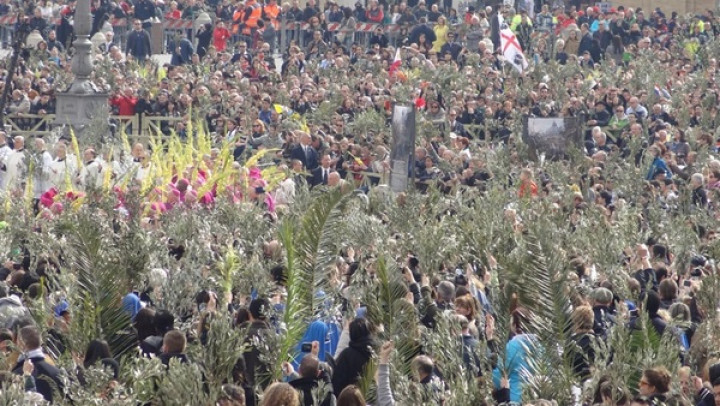 Množica na trgu svetega Petra; Cvetna nedelja 2013