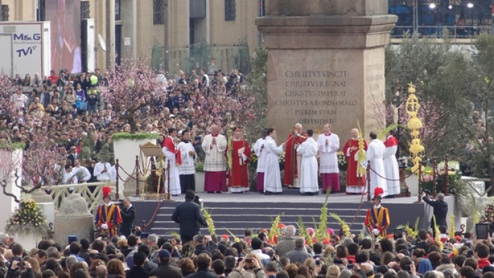 Papež blagoslovlja cvetje in zelenje; 2013
