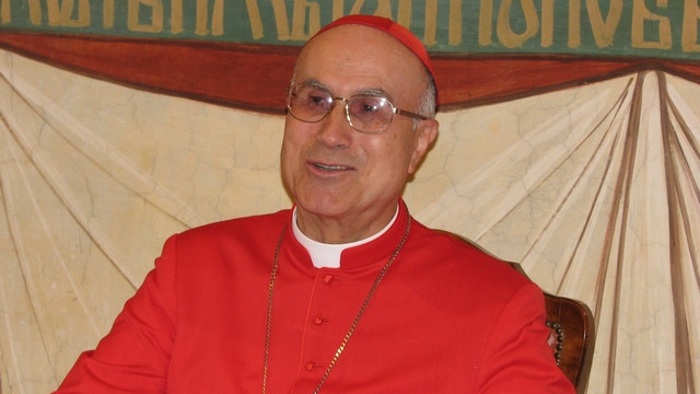 kardinal Tarcisio Bertone (foto: ARO)