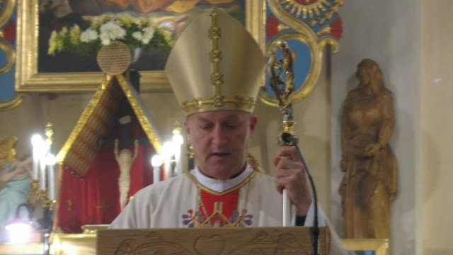 Ljubljanski pomožni škof Anton Jamnik (foto: Petra Gorše)