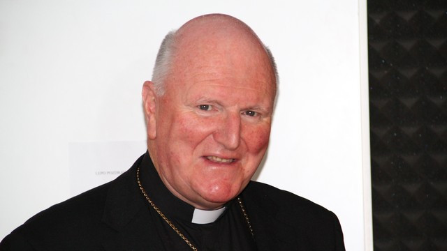 Nadškof Denis Hart (foto: ARO)