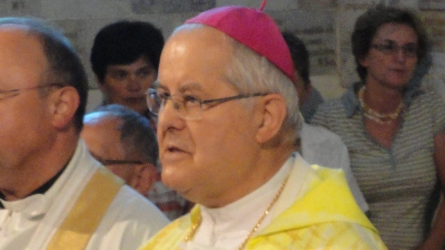 Škof Metod Pirih (foto: Matjaž Merljak)