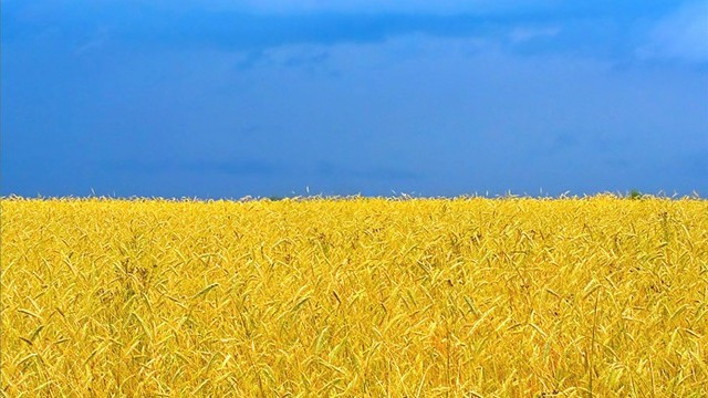 Ukrajina - žitna velesila (foto: ARO)