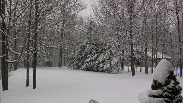 Zima v Clevelandu (foto: Tone Ovsenik)