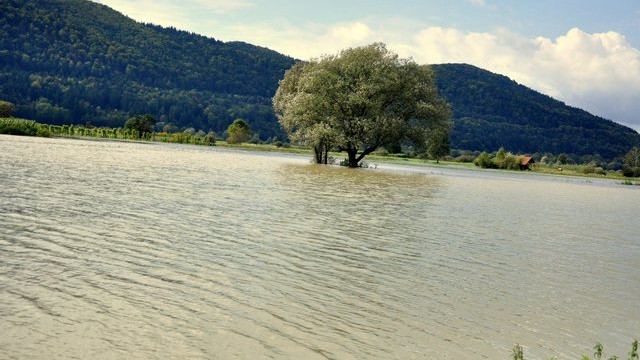 Poplave na Ljubljanskem barju, Borovnica. (foto: Rok Mihevc)