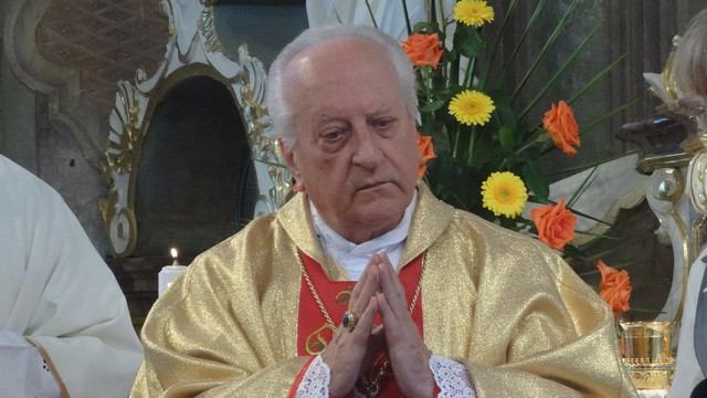 Kardinal Franc Rode v Grobljah (foto: Tone Gorjup)