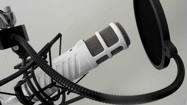 Mikrofon (foto: ARO)