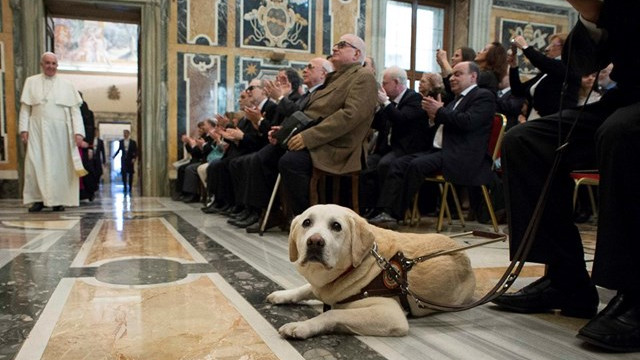 Papež na srečanju s slepimi in slabovidnimi (foto: Radio Vatikan)