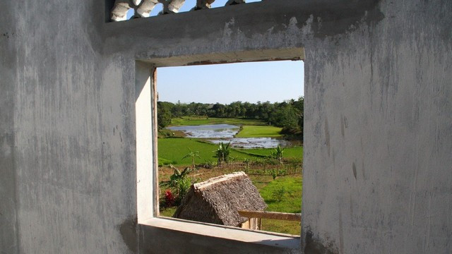 Pogled na riževo polje (foto: Izidor Šček)