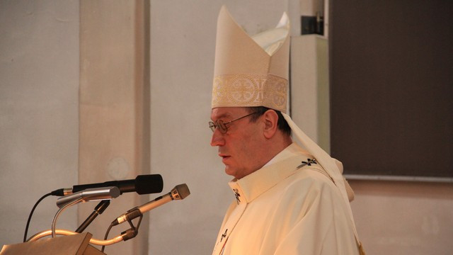 nadškof metropolit Alojzij Cvikl (foto: Matej Kržišnik)