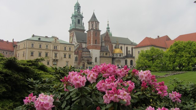Znamenitost mesta, kjer bo letos SDM, krakovski grad (foto: Nataša Ličen)
