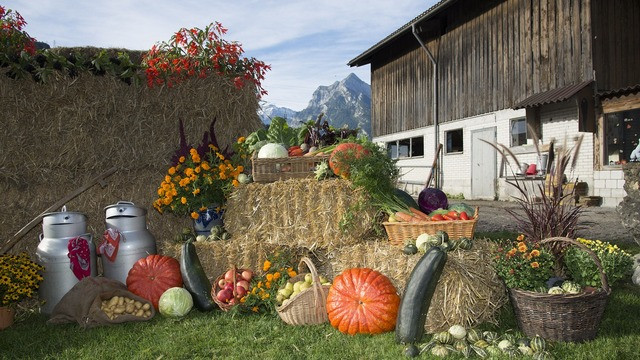Slovenska hrana (foto: Ministrstvo za kmetijstvo in okolje)