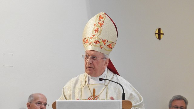 Kardinal Franc Rode (foto: P. Ivan Rampre)