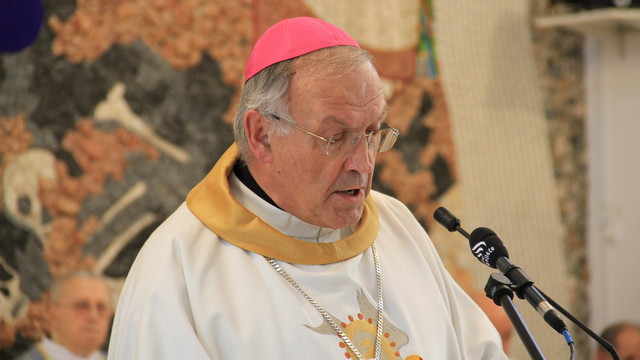 Nadškof Anton Stres (foto: Izidor Šček)