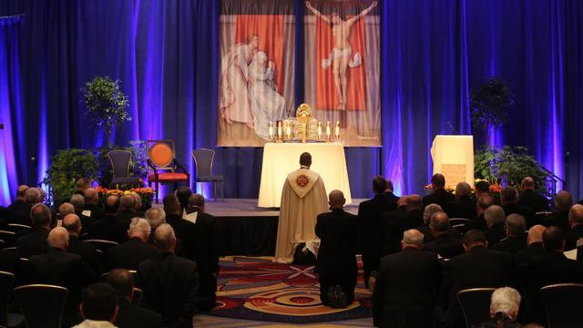 Ameriški škofje zbrani v Chicagu (foto: Vatican insider)