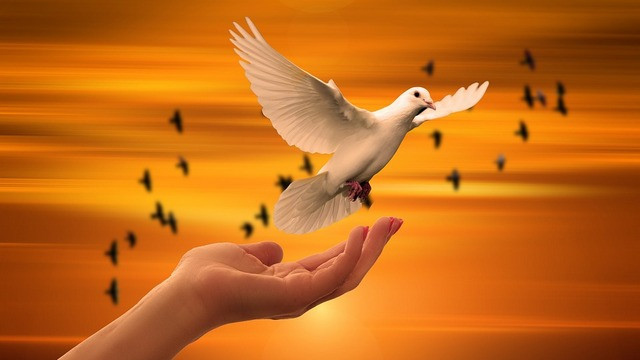 Sveti Duh kot golob (foto: Rok Mihevc)