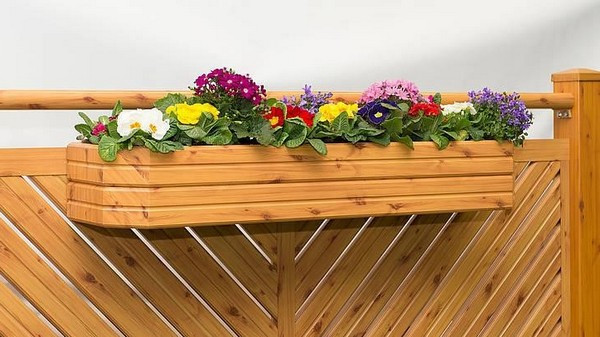 Blagoslov rož in zelišč na veliki šmaren: Hvaležnost za darove narave in Božje stvarstvo
