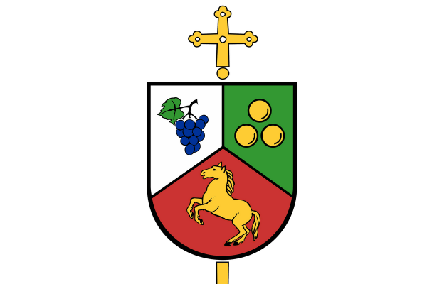 Izjava škofa Sajeta ob romskem napadu in smrti v Novem mestu