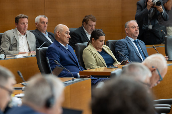 Zakon za reševanje vojaka Goloba in ne romske problematike