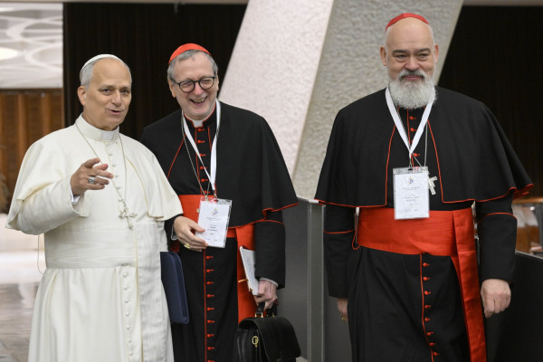 Naslednji konzistorij bo že junija, oktobra 2028 cerkvena skupščina