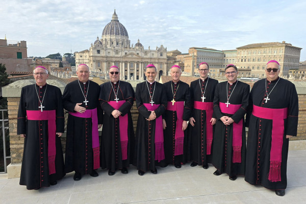 Slovenski škofje pri papežu