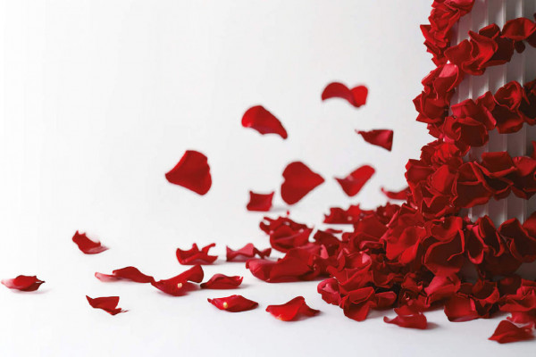 Mag. Andreja Jernejčič: Štirje centimetri krojijo naš svet