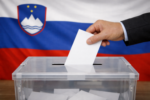 Pred lokalnimi volitvami v Kopru in Novem mestu kandidata ostajata aktualna župana Bržan in Macedoni