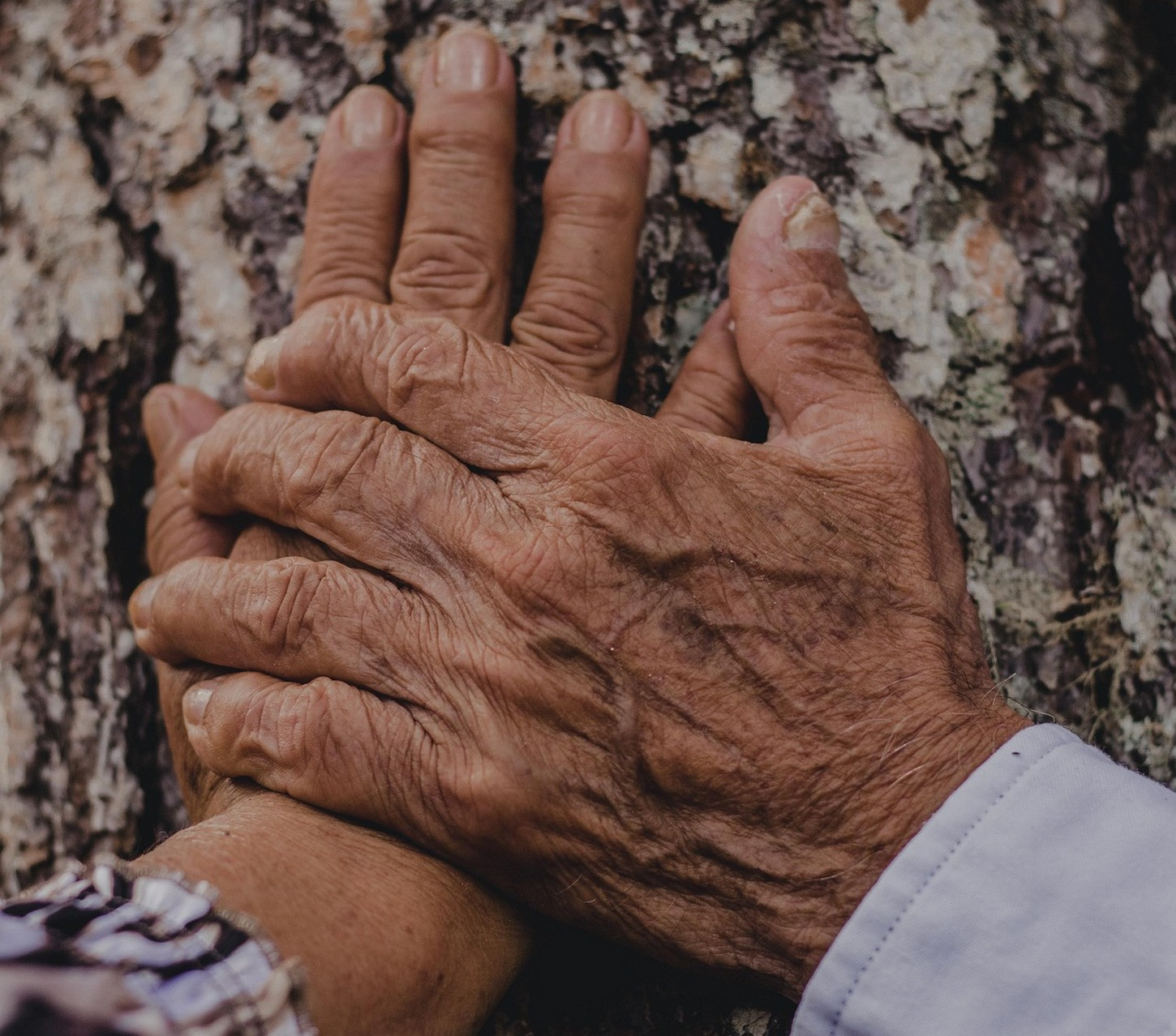Ljubezen je veliko več ali nekaj povsem drugega kot zgolj zaljubljenost in romantika 