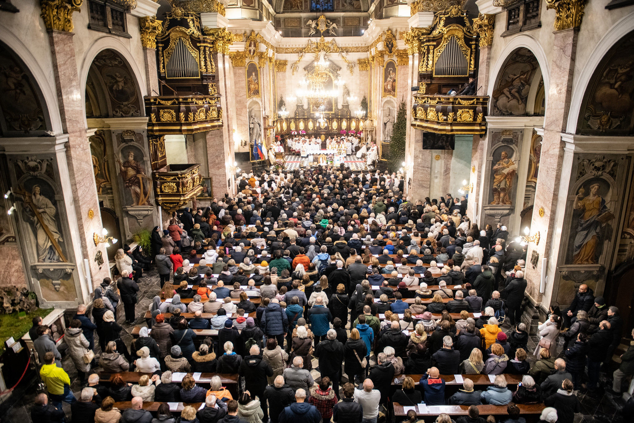 Polna ljubljanska stolnica