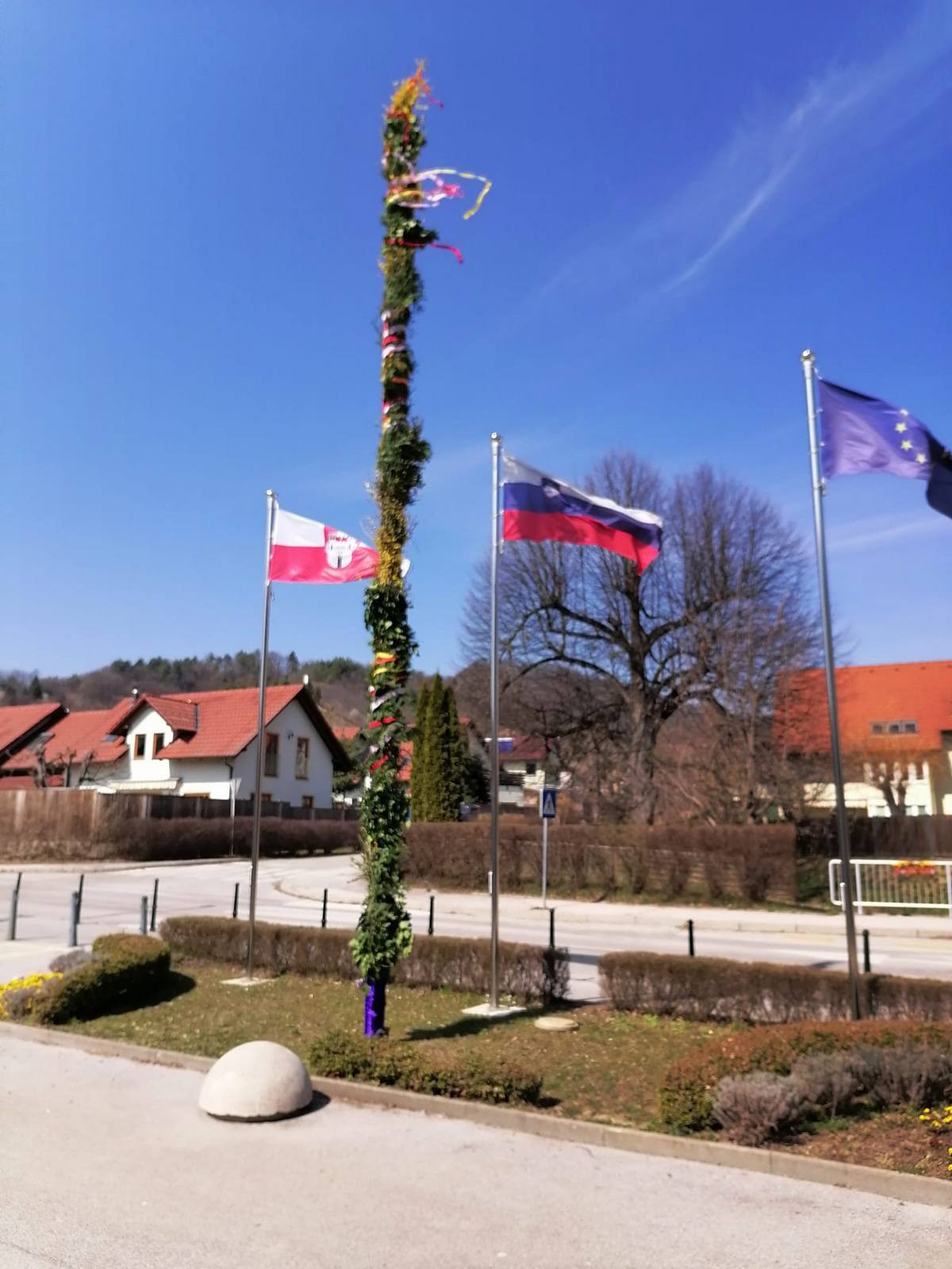 Butara velikanka v župniji Kamnica