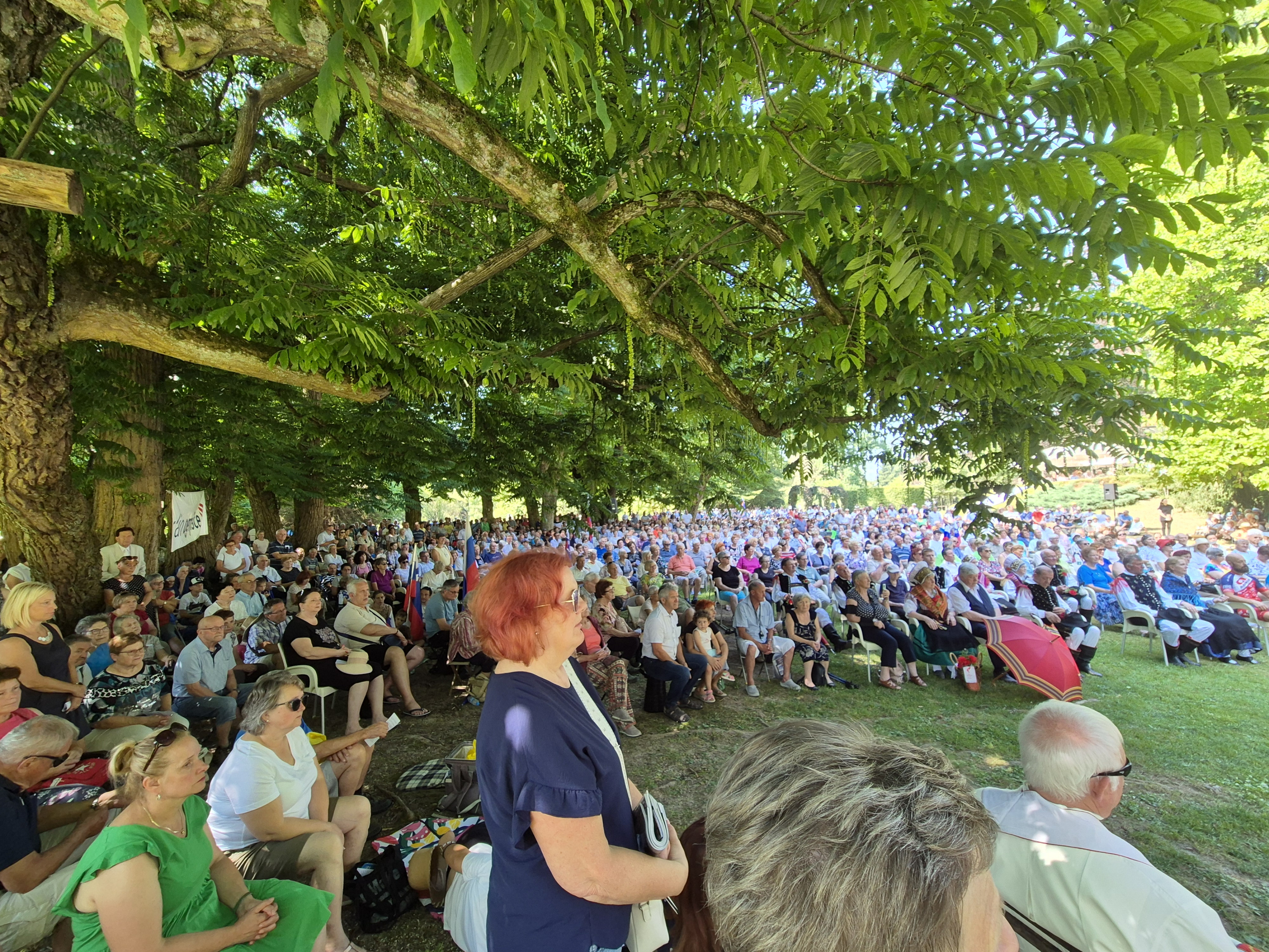 Zbrani v Arboretumu leta 2025