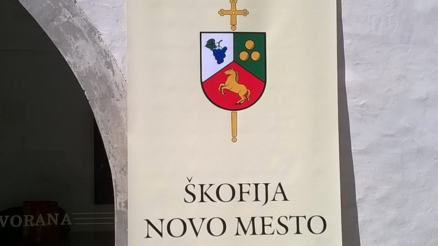 Škofija Novo mesto