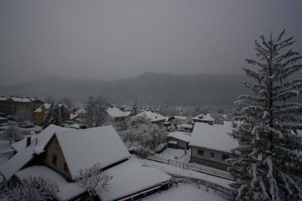 Zasnežena Kočevska - Foto: Borut Šenk