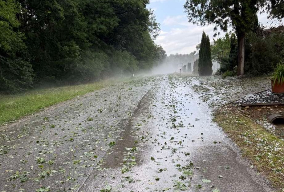 Neurje na Goričkem