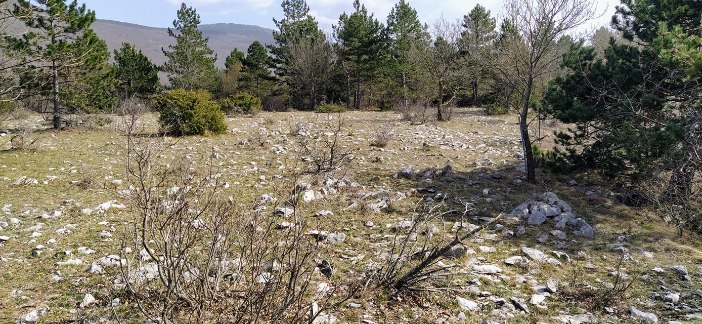 Preški kras slikan v mesecu maju, ko drugje po Sloveniji že kosijo prvi odkos. Leta 2008 so tej parceli pripisali 10 bonitetnih točk, lani pa so oceno povišali na nerazumljivih 44 točk.