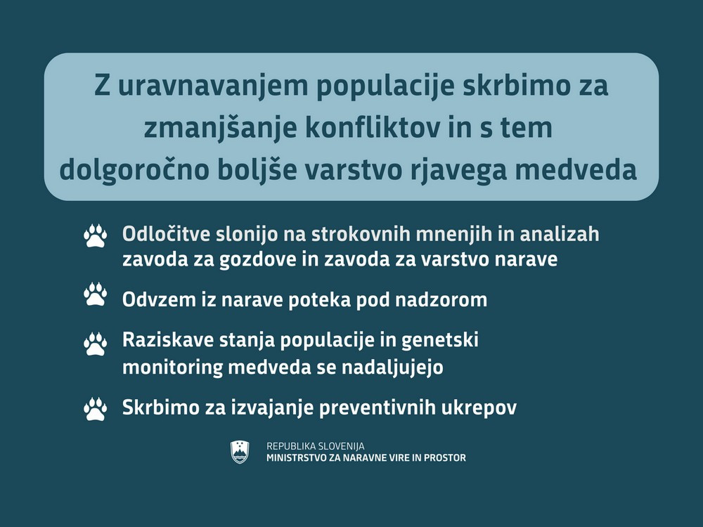 Pojasnila Ministrstva za naravne vire in prostor glede odvzema medvedov