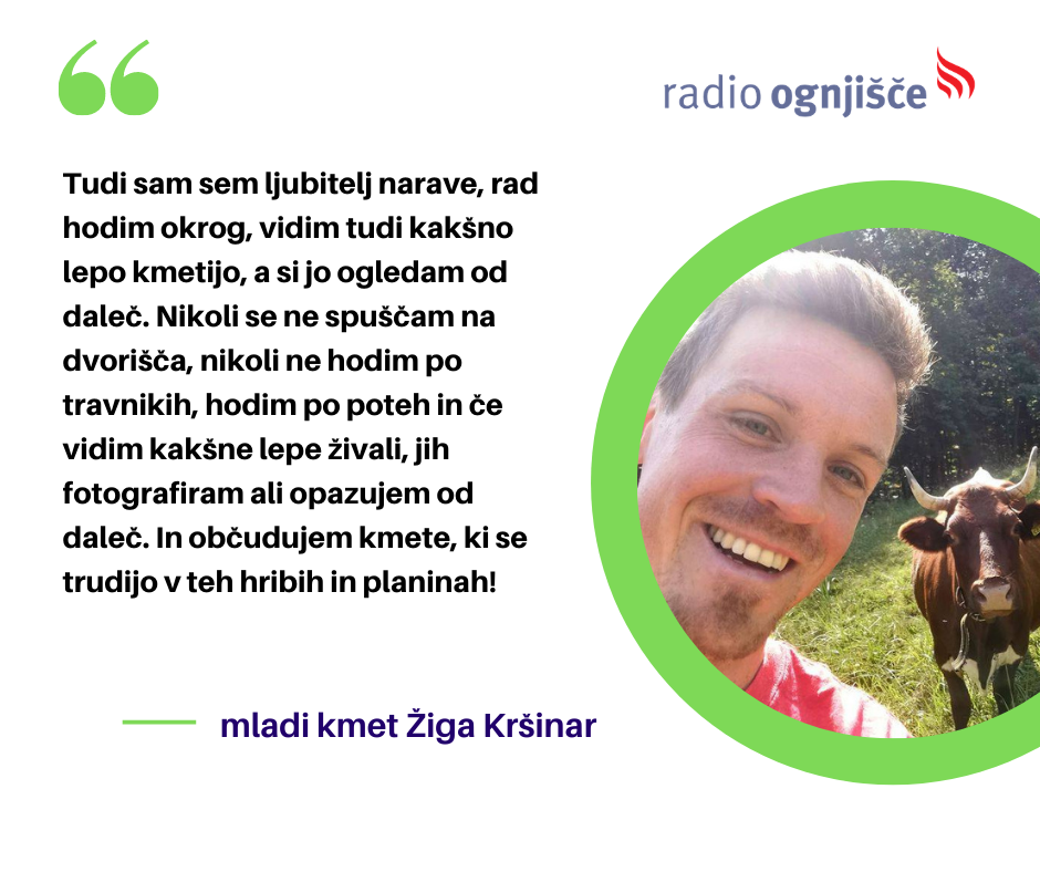 Žiga Kršinar