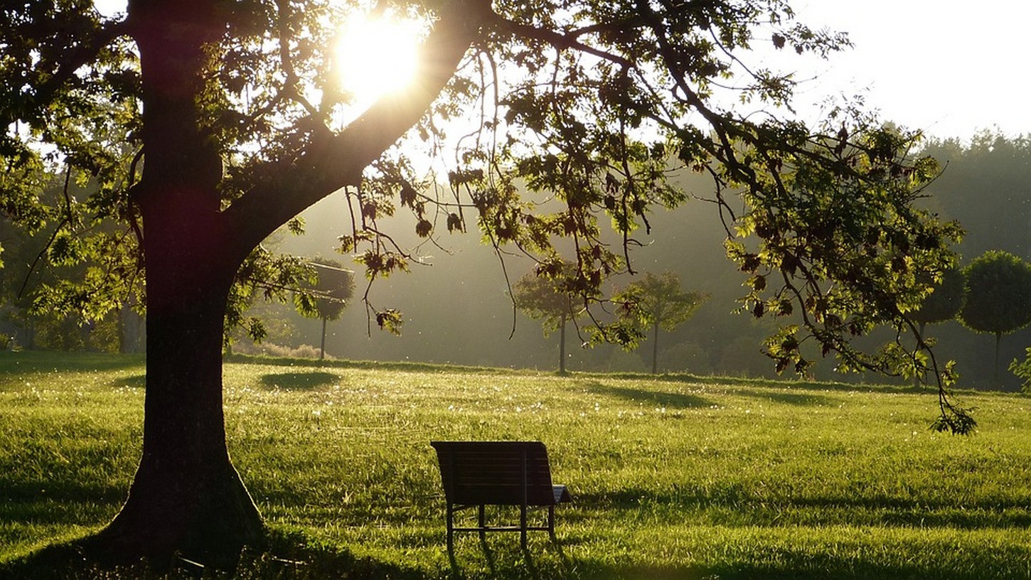 Na jesen lahko razmislimo, je kaj v nas, kar bi lahko ravno tako leglo k počitku?