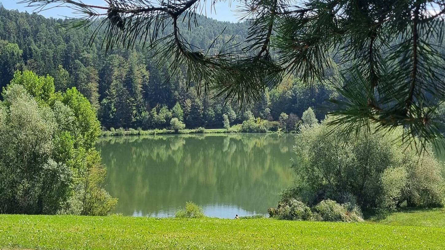 Gradiško jezero letos tudi kraj plemenitega projekta