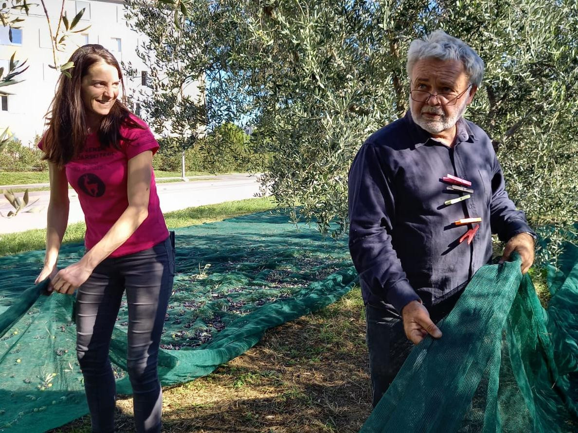 Z mladimi pri obiranju oljk.