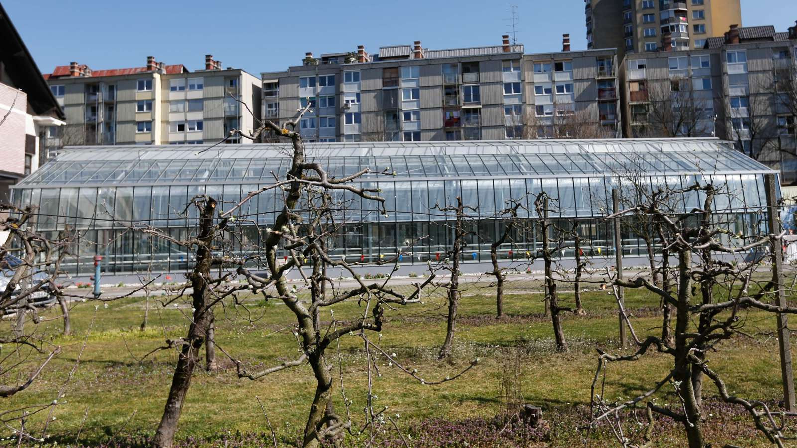 Eden največjih rastlinjakov v Ljubljani: Kmetijski inštitut Slovenije