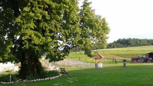 Delo na vrtu