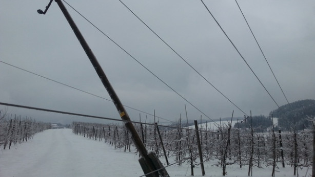 Posledice žledoloma na električnem omrežju na Velenjskem; foto: Elektro Celje