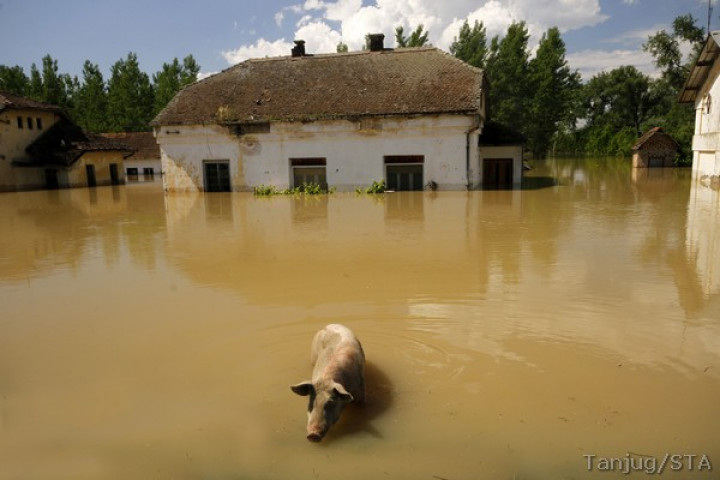 Poplave Srbija