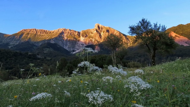 Pogled na Krn
